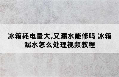 冰箱耗电量大,又漏水能修吗 冰箱漏水怎么处理视频教程